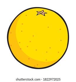 orange vector illustration,isolated on white background for education,fruits top view