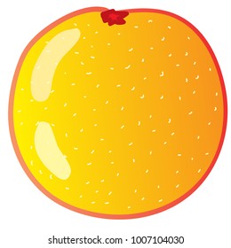 orange vector isolated ilustrace on white background