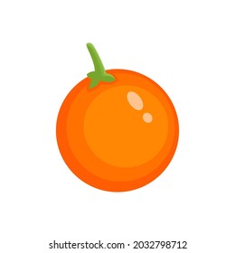 Orange vector isolated on a white background. orange vector illustration.