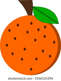 Orange Vector with leaf, Cartoon Orange, Citrus Fruits