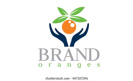 Orange vector logo template