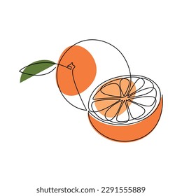 Vector naranja. Ilustración dibujada a mano de una línea continua. Silueta lineal mínima. Icono de cítricos. Diseño gráfico, impresión, banner, tarjeta, cartel de arte mural, folleto, logotipo, menú, signo, símbolo.