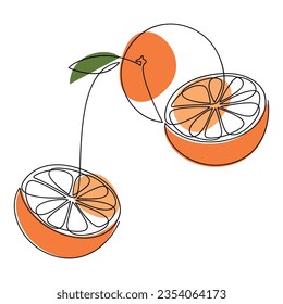 Orange vector. One line continuous hand drawn illustration. Minimal linear silhouette. Citrus fruit icon. Graphic design, print, banner, card, wall art poster, brochure, logo, menu, sign, symbol.