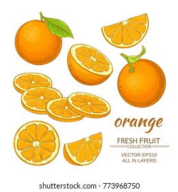 orange vector set