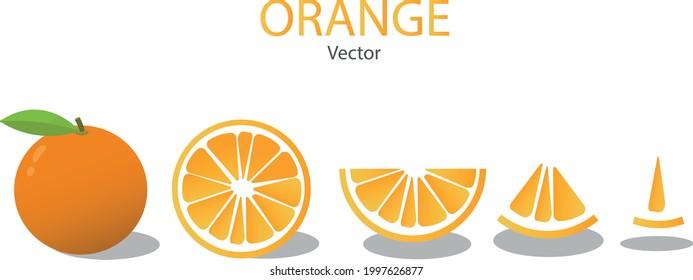 Orange vector set collection, illustration isolated