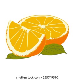 Orange Vector Sketch