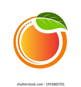 Orange vector trendy and modern orange symbol. Vector illustration EPS.8 EPS.10
