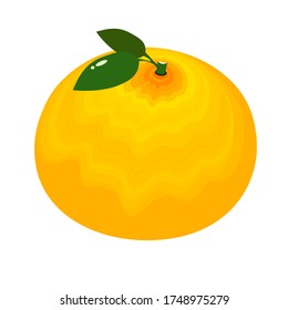 Orange vector,orange,orange on white background.