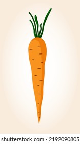 Hortalizas de naranjo. Zanahorias sobre un fondo claro.