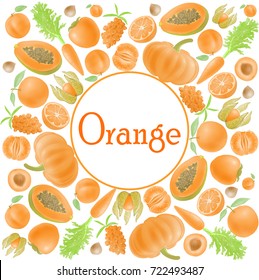 Orange vegetables and fruits. vector