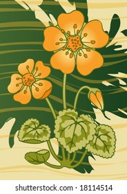 Orange Viola with abstract background.