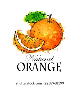 Orange watercolor sketch vector illustration on white background.