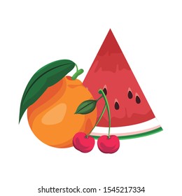 orange, watermelon and cherries icon over white background, vector illustration