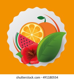 Orange watermelon flower and leaf icon. Fruits summer healthy and organic food theme. Colorful design. Vector illustration