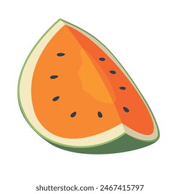 Orange watermelon fruit vector illustration, isolated on white background