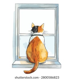 Orange and white cat with collar on window
