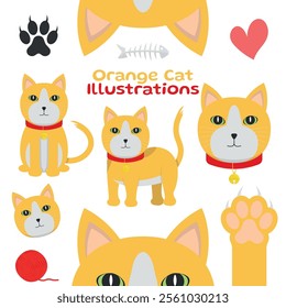 Orange and White Cat - Cute Illustrations in Different Poses, Sitting, Side, Head, Paw and Ears. Cartoon in Flat Design.