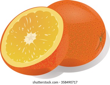 Orange . A whole orange and its half. Fruit .