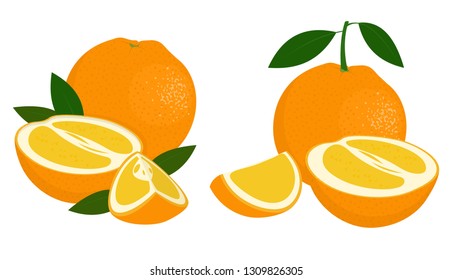 Orange whole, half and slice of orange with leaves on white background. Citrus fruit. Vector illustration of oranges on white background.