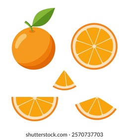 Orange whole and half sliced fruit illustration-Orange sliced fruit set