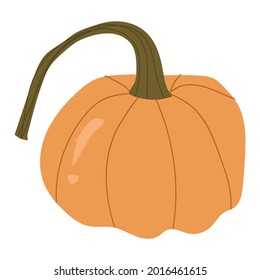 Orange whole pumpkin, autumn decorative.Vector hand drawn