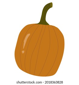 Orange whole pumpkin, autumn decorative.Vector hand drawn