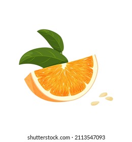 Orange whole and slice of oranges with green leaves. Vector illustration of oranges isolated on white background.