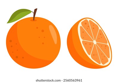 Orange whole and slice. Vector illustration of fresh fruit on white background