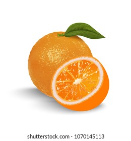 Orange whole and slices of oranges. Vector illustration of oranges. Fully editable handmade mesh.