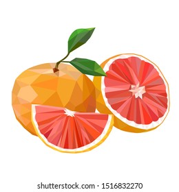 Orange whole and slices of oranges. Vector illustration of oranges. Fully editable handmade mesh.