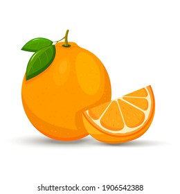 Orange whole and slices of oranges. Vector illustration of oranges. Flat design