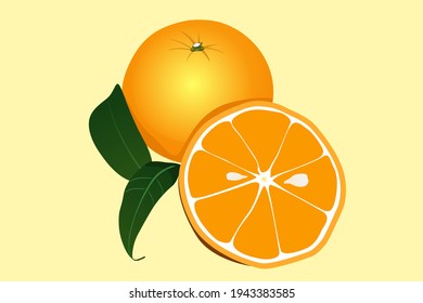 Orange whole and slices of oranges. Vector illustration of oranges
