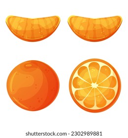 Orangefarbene ganze Orangenscheiben und Orangenscheiben. Vektorgrafik einzeln auf Weiß.