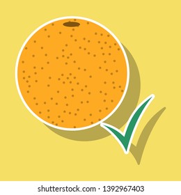 Orange whole . Vector illustration of orange.