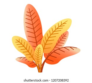 Orange wild plant. Autumn plant icon. Lawns and pasture short plants, growing meadow wild or garden cultivated, cattle food. Flat vector illustration isolated on white background.