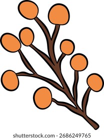 Orange wildflowers  on Transparent background