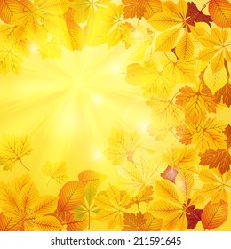 Orange and yellow autumn vector leaves on sunny background