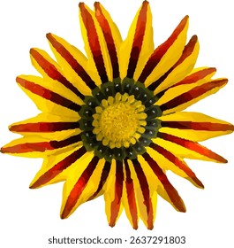 orange and yellow daisy bloom21