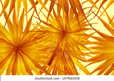 Orange yellow exotic pattern. Monstera and hibiscus flowers tropical bouquet.  Saturated large floral swimwear print. Horizontal california natural texture design. Bonny spring botanical design.