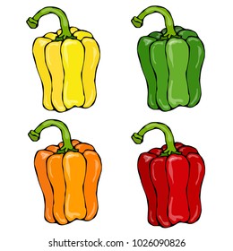 Orange, Yellow, Green, Red Paprika, Bell Pepper or Sweet Pepper Front View. Hand Drawn Sketch Vector Illustration. Isolated On a White Background. Savoyar Doodle Style.