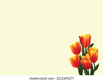 orange yellow tulip flower background with text space,vector tulips,tulip flower,orange tulip.yellow tulip