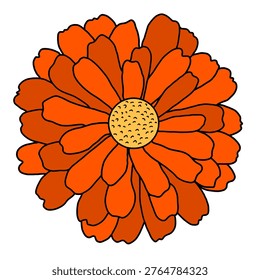 An orange zinnia flower vector.