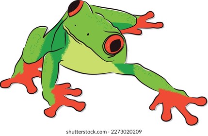 Orange-eyed frog with luminous green body and orange legs