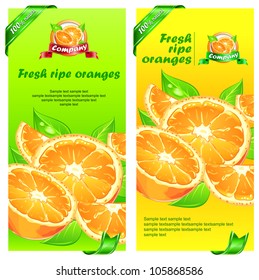 Oranges banner with fruits, leaves and ribbon & text, vector illustration