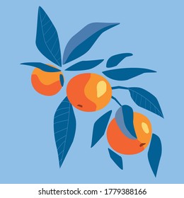 Oranges with blue leaves  on a blue background