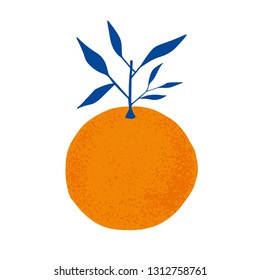 Oranges with branch with blue leaves. Hand drawn vector illustration with citrus fruit.