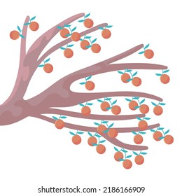 oranges branch tree icon isolated