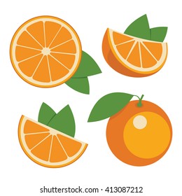 Oranges . Collection of whole and sliced orange fruits. Vector illustration.