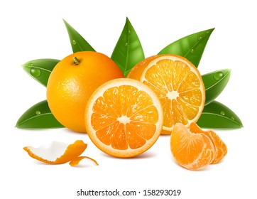Oranges. Cut oranges, whole orange and orange slices. Vector illustration.