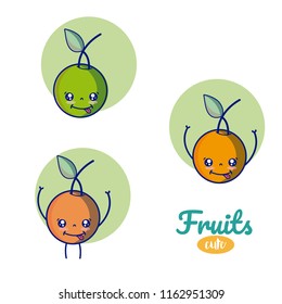 oranges cute fruits cartoons